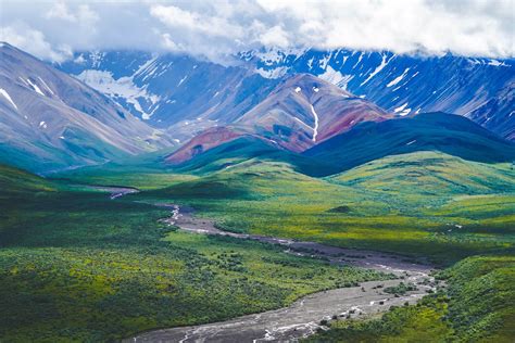 Visit Denali National Park - 2023 Complete Guide — Handpicked Alaska