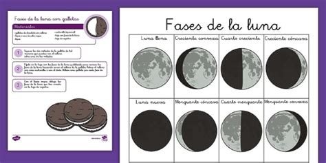 Ficha de actividad: Fases de la luna con galletas - Twinkl