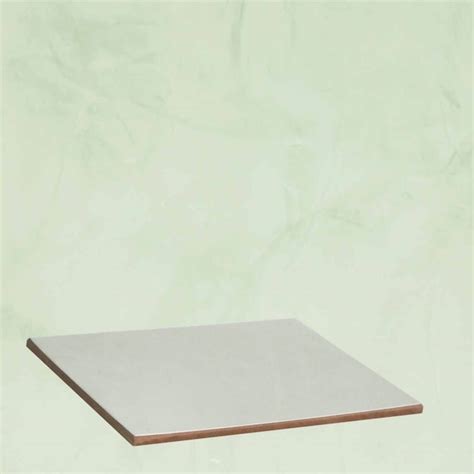 Vasari Soong #43 Tintable Paint Sample (12-in x 12-in) in the Paint ...