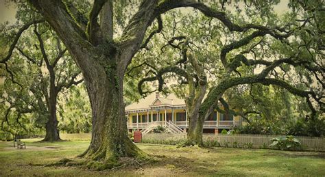 PRC Laura Plantation Tour | Preservation Resource Center of New Orleans