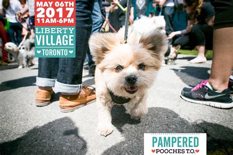 3rd Annual Pampered Pooches T.O.