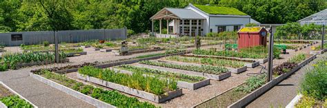 Dig! Plant! Grow! Wake Up, Garden! | New York Botanical Garden