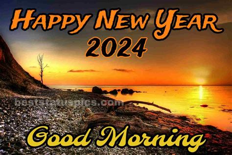 51+ Good Morning Happy New Year 2024 Wishes Images HD