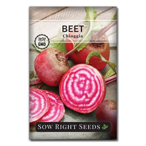 Chioggia Beet Seeds for Planting | Crisp Candy Cane Variety – Sow Right Seeds