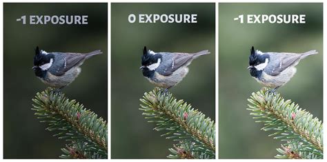 Exposure Bracketing - What is It & How to Use It? - PhotographyAxis