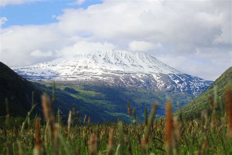 Mountain Gaustatoppen stock image. Image of nature, hardangervidda - 68170523