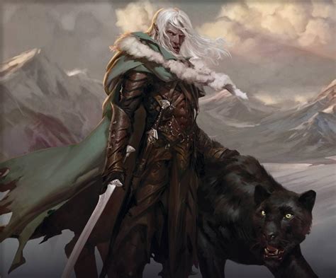 OBD Wiki - Character Profile - Drizzt Do'Urden