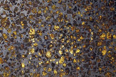 Pallasite meteorite - Stock Image - C009/6375 - Science Photo Library