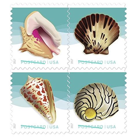 USPS Seashells Postcard Stamps - US Postage Card Stamps (2 Sheets of 20 ...