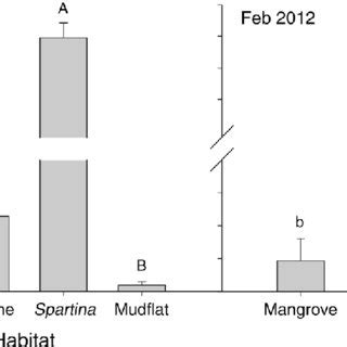 The number of cordgrass Spartina alterniflora seeds (spikelets) in... | Download Scientific Diagram