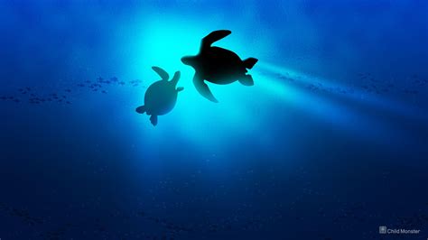 Baby Turtle Wallpapers - Wallpaper Cave