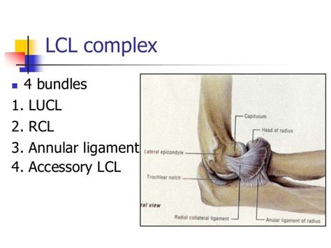 Complex elbow injury 2013