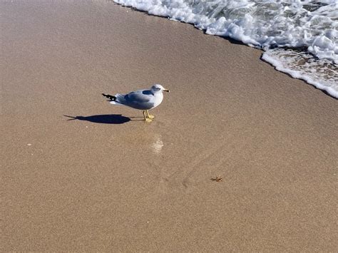 This CT Beach Named Among 'Best Secret Beaches' In America: Report ...