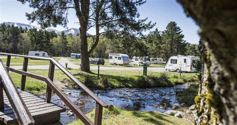 Glenmore Campsite - Aviemore | Camping in the Forest