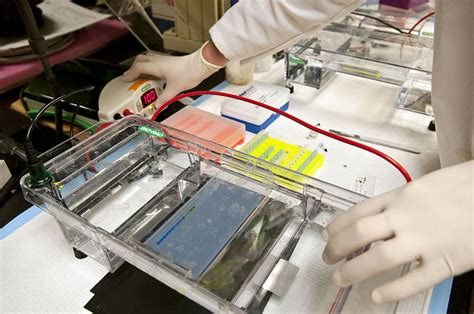 Difference Between Capillary Electrophoresis and Gel Electrophoresis ...