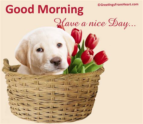 Good Morning Wishes With Dogs Pictures, Images - Page 4