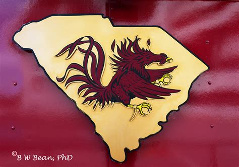 South Carolina Gamecocks Football Wallpapers - WallpaperSafari