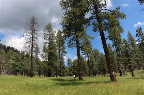 Craig Martin’s 20 Favorite Hikes on the Pajarito Plateau – Pajarito Environmental Education Center