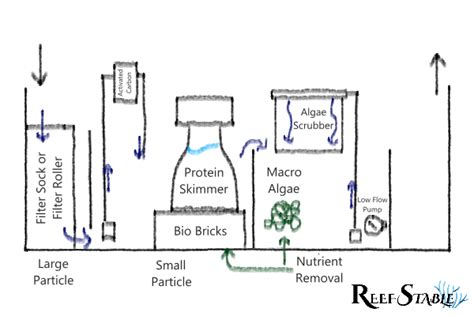 How to Design a Reef Tank Sump