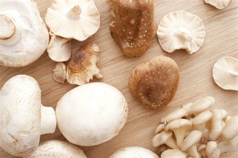Selection of fresh raw mushrooms - Free Stock Image