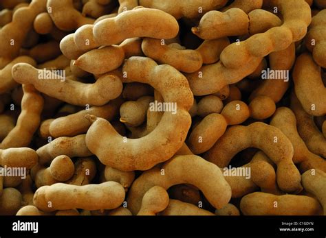 Tamarind Pods in a Bangkok Market Stock Photo - Alamy