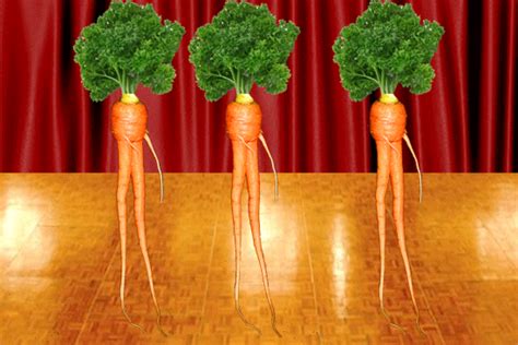 Carrot Dancing GIFs - Find & Share on GIPHY