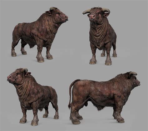 Bull anatomy - ZBrushCentral