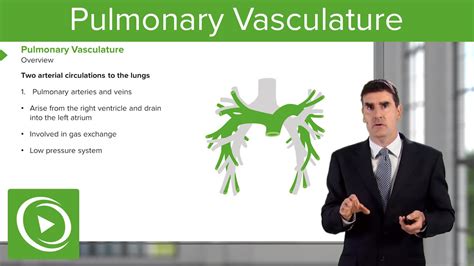 Pulmonary Vasculature – Respiratory Medicine | Medical Education Videos ...