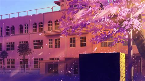 Anime School Cherry Blossom - 1920x1080 Wallpaper - teahub.io