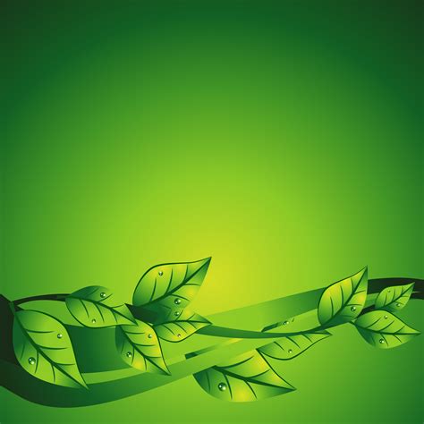 vector green leaf 219959 Vector Art at Vecteezy