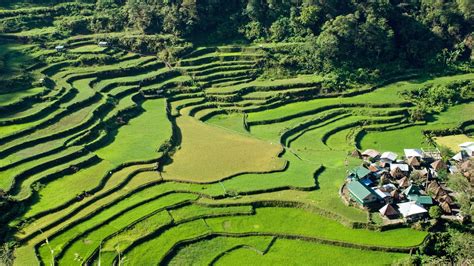 Cordilleras Rice Terraces