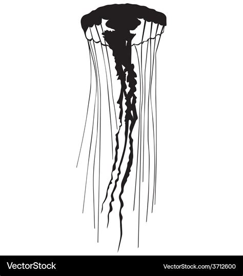 Jellyfish silhouette Royalty Free Vector Image