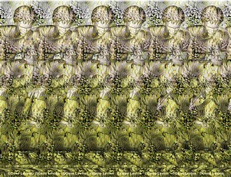 Leapfrog Stereogram by Gene Levine | An Optical Illusion