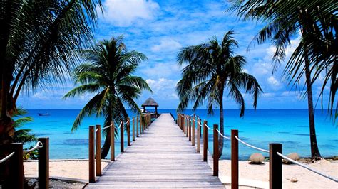 Tropical Beach Pier wallpaper | nature and landscape | Wallpaper Better