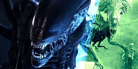 Alien's Deadliest Xenomorph Ever Finally Has a Name & Origin