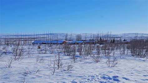 Geysir Hot Springs Geysers free image download