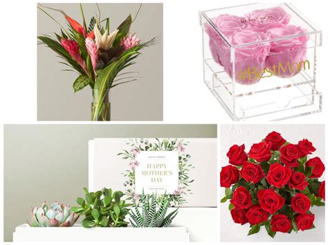 Flowers Delivery Ann Arbor Mi | Best Flower Site