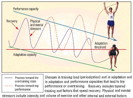 Ἀεικίνητος: The Overtraining Syndrome - How can we diagnose and prevent ...