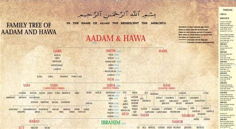 adam and eve family tree pdf - For Lots Profile Image Archive