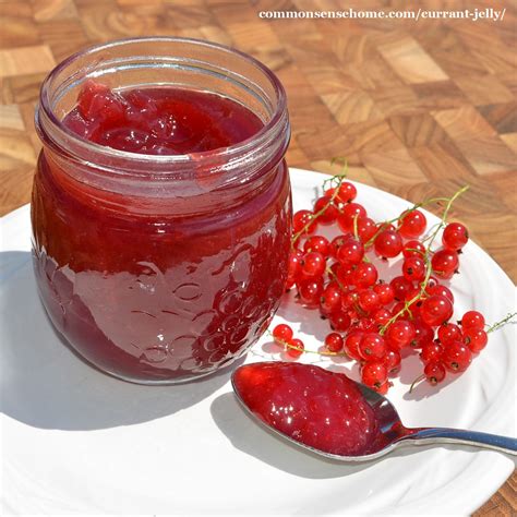 Red Currant Jelly Recipe (2 Ingredients, No Added Pectin)