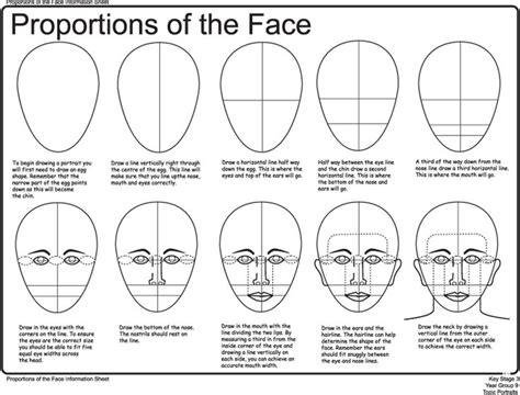 1000+ images about Head Proportions on Pinterest | Golden ratio, Manga and Human faces