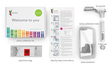 Top 4 Best DNA Ancestry Test Kits of 2021 - [Reviews & Infographic]