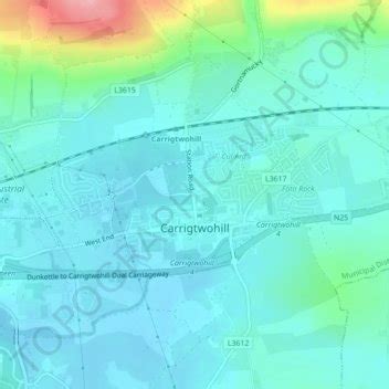 Carrigtwohill topographic map, elevation, terrain