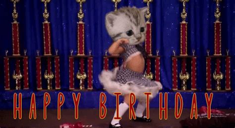 Happy Birthday Cat GIFs - Get the best GIF on GIPHY