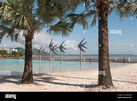 The Lagoon Pool on Cairns Esplanade offers an all-year safe, swimming ...