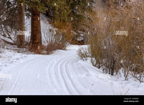 The Natural Beauty of Winter in Fraser, Colorado. Fraser River Trail ...