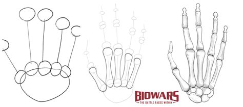 Skeleton Hand Drawing In 5 Steps [Video + Illustrations]
