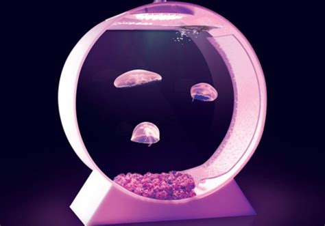 Moon JellyFish Desktop Tank - NoveltyStreet