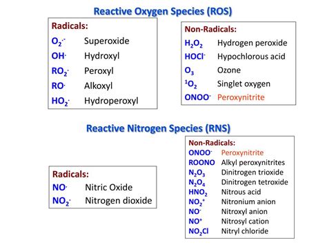 PPT - Reactive Oxygen Species PowerPoint Presentation, free download ...