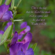Purple Flower Psalm 118:24 Bible Verse Photo Print | Zazzle.com